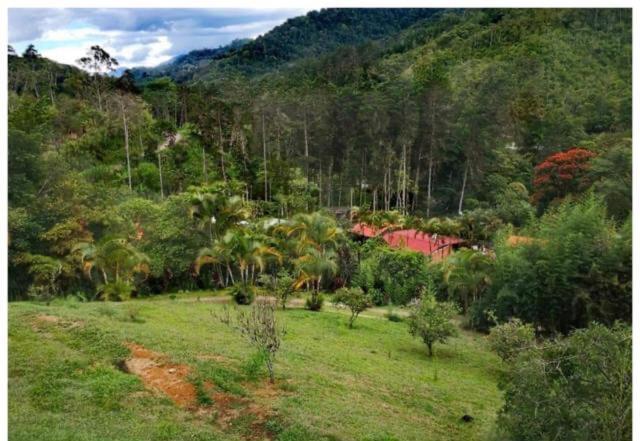 Navarro Mountain Cartago Eksteriør billede